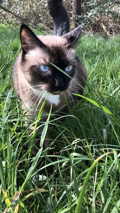 Evergreen Animal Hospital 4