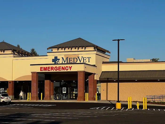 MedVet Vancouver 7