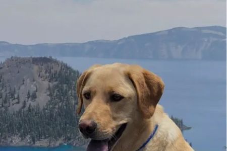 MedVet Vancouver