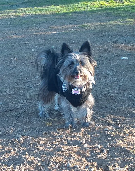 Banfield Pet Hospital 2
