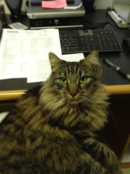 Columbia Veterinary Center: Cleveland Tammy R DVM 12