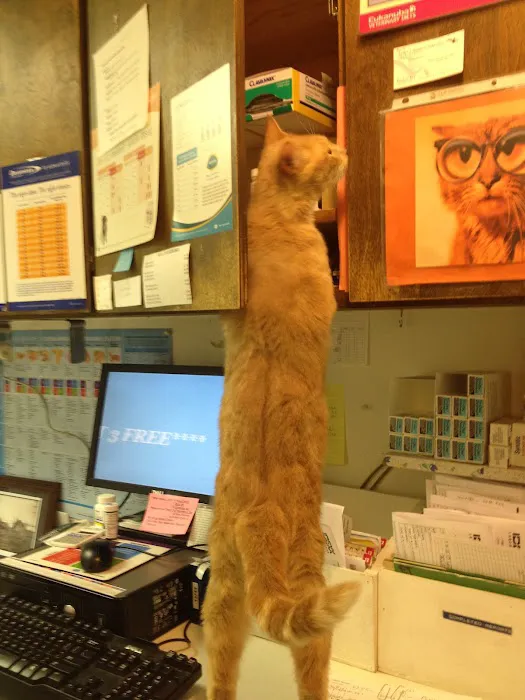 Columbia Veterinary Center: Cleveland Tammy R DVM 12