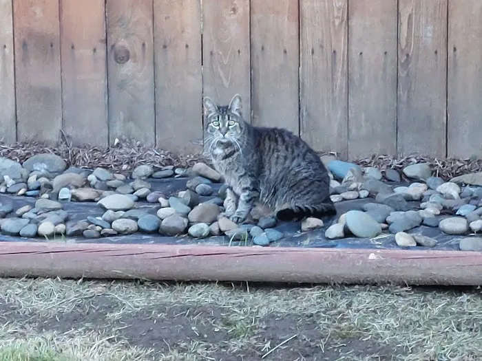 Columbia Veterinary Center 12
