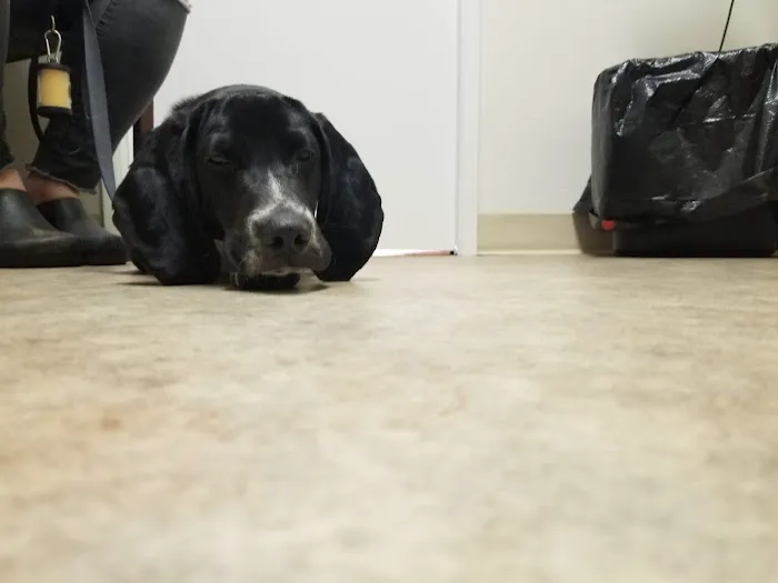 Columbia Veterinary Center 12