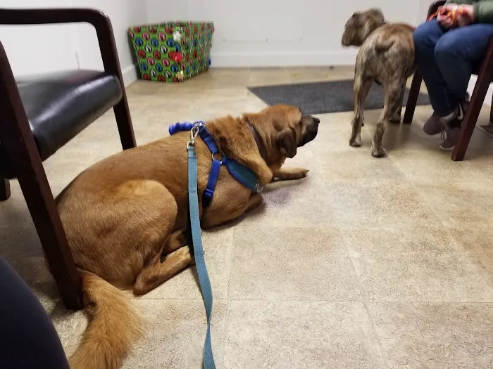 Columbia Veterinary Center 12
