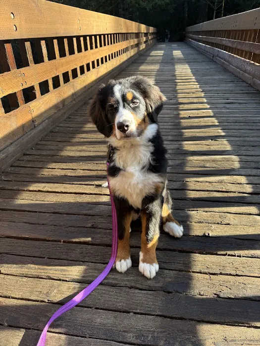 Columbia Veterinary Center 12