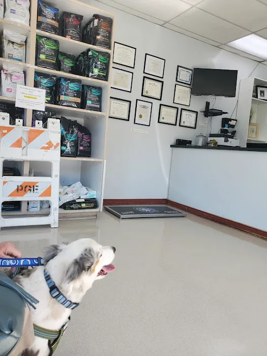 Hayden Meadows Pet Clinic 7
