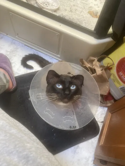 Hayden Meadows Pet Clinic 8