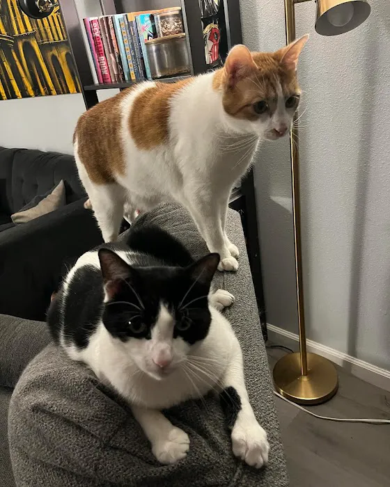 Peninsula Pet Clinic 1