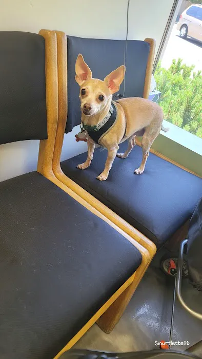 Peninsula Pet Clinic 3