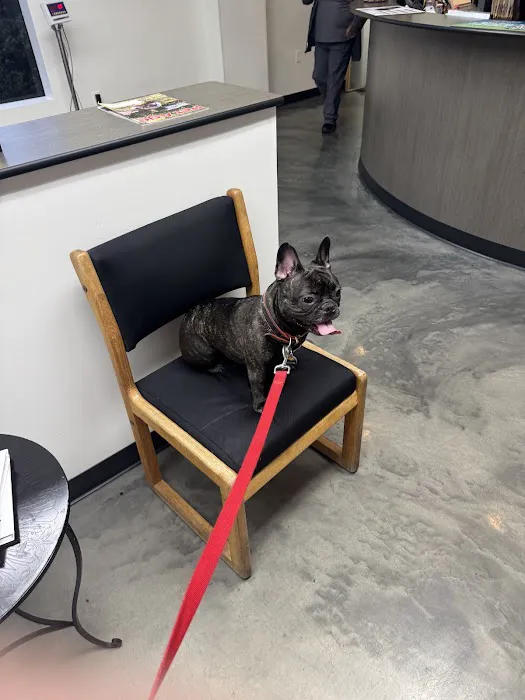 Peninsula Pet Clinic 5
