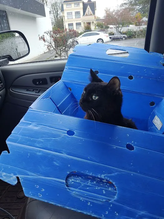 Peninsula Pet Clinic 6