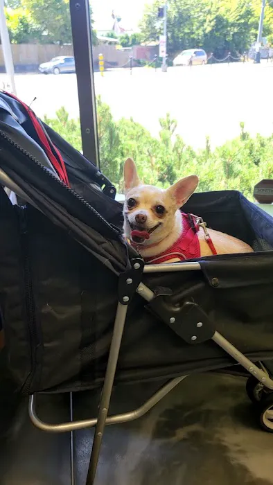 Peninsula Pet Clinic 10