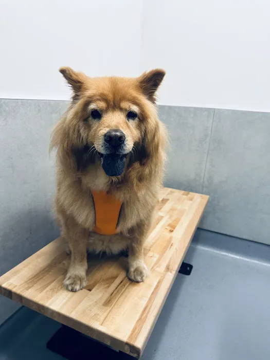 Happy Tails Animal Hospital 2