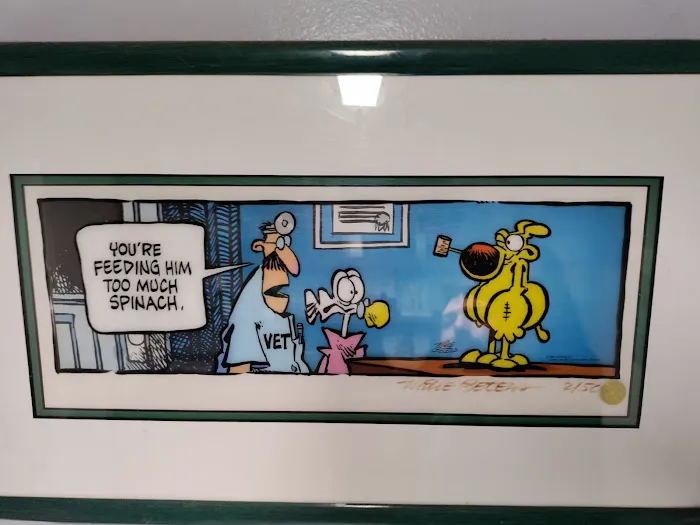 Alamitos Animal Hospital 2