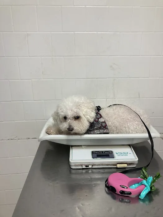 Alamitos Animal Hospital 4