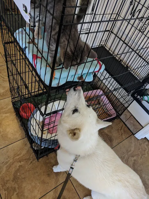 Alamitos Animal Hospital 9