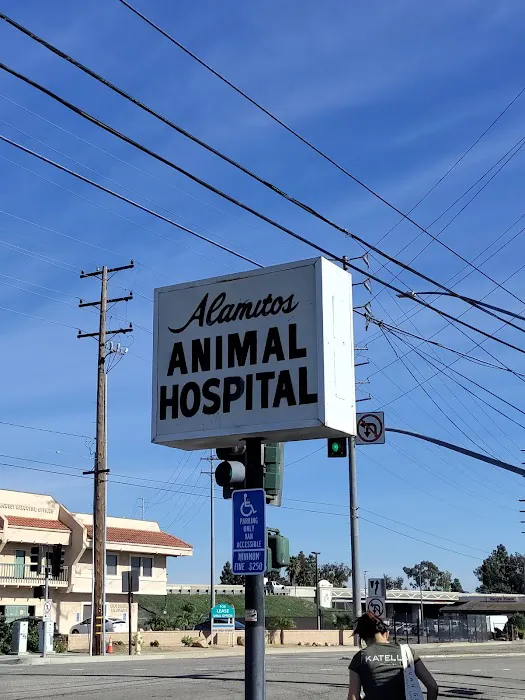 Alamitos Animal Hospital 6