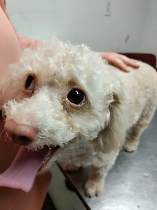 Alamitos Animal Hospital 5