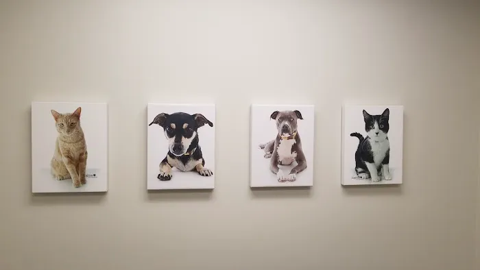 Westminster Veterinary Group 2
