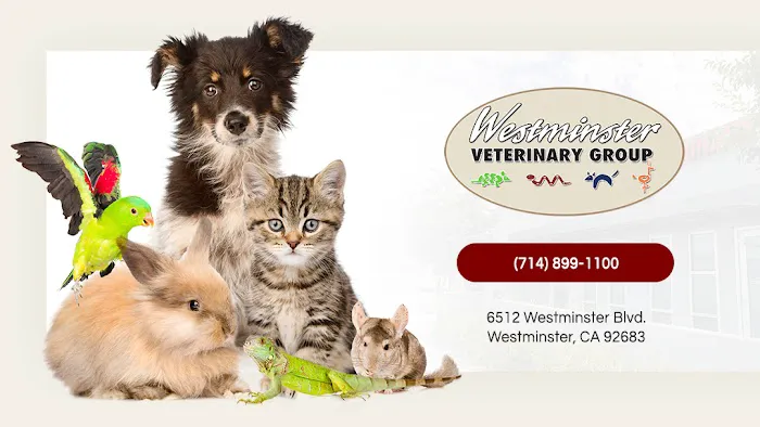 Westminster Veterinary Group 1