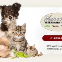 Westminster Veterinary Group ico