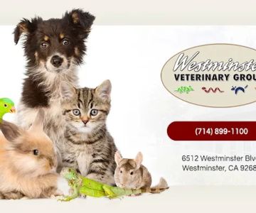 Westminster Veterinary Group