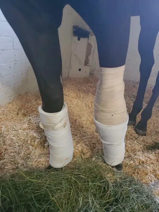 Equine Medical Center 1