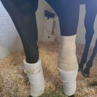 Equine Medical Center ico