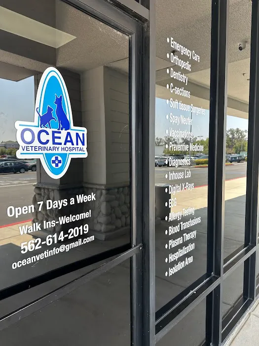 Ocean Veterinary Hospital 1