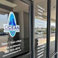 Ocean Veterinary Hospital ico