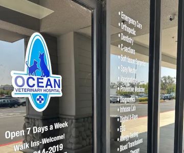 Ocean Veterinary Hospital