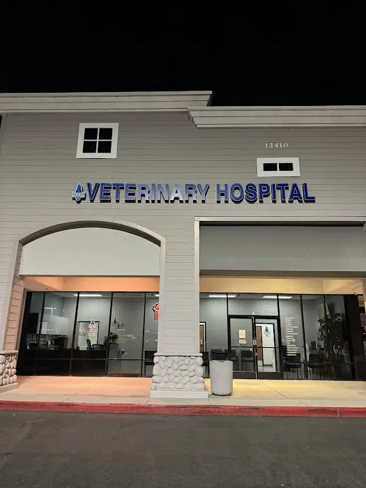 Ocean Veterinary Hospital 4