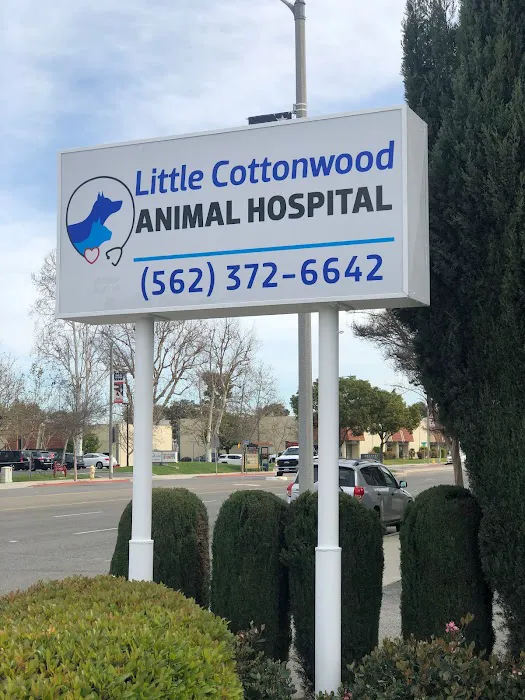 Little Cottonwood Animal Hospital 6