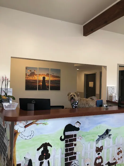Little Cottonwood Animal Hospital 10