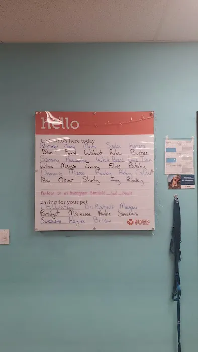 Banfield Pet Hospital 3