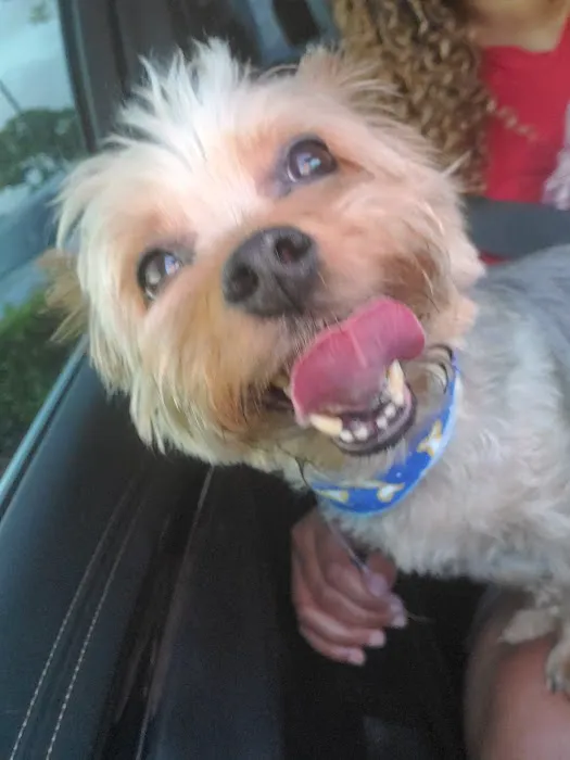 Banfield Pet Hospital 2