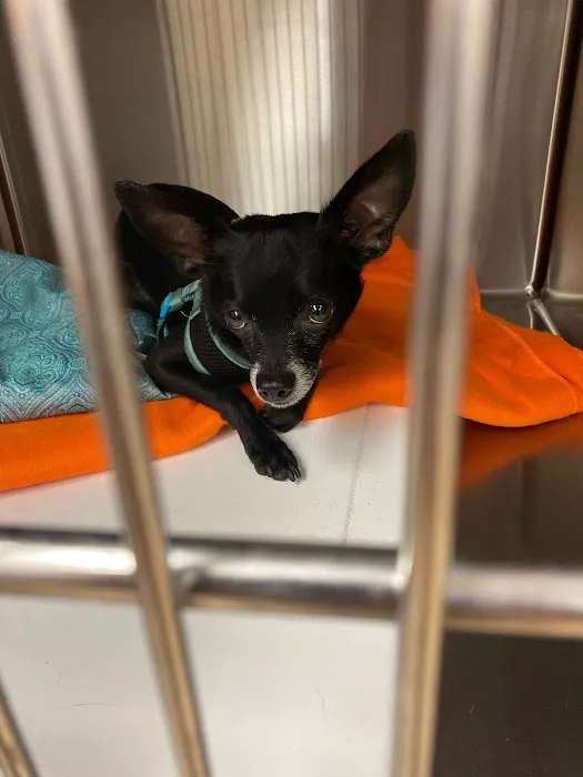 Banfield Pet Hospital 8