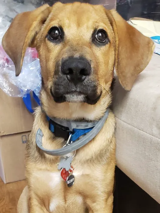 Banfield Pet Hospital 6