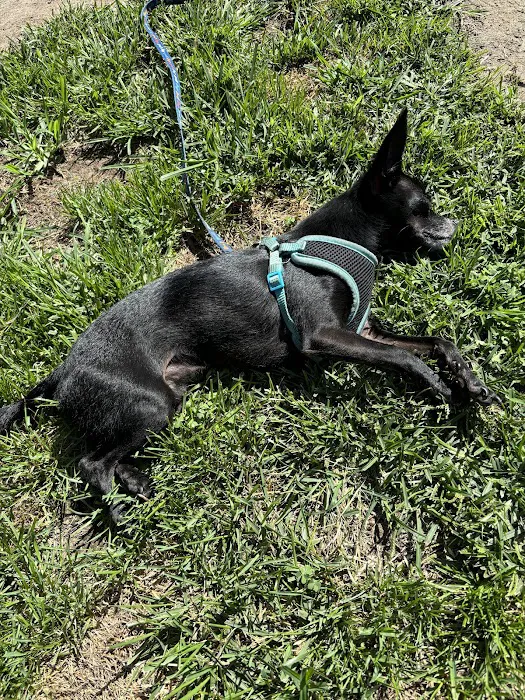 Banfield Pet Hospital 9