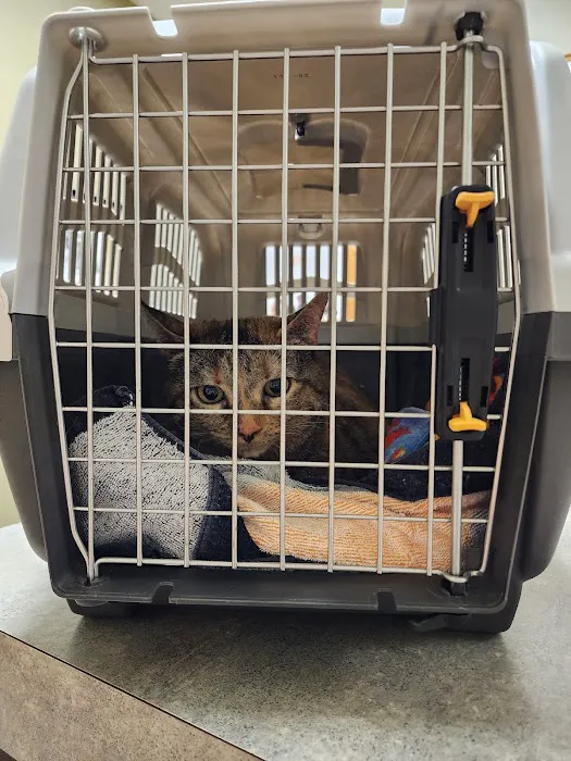 Northside Wesleyan Animal Hospital 5