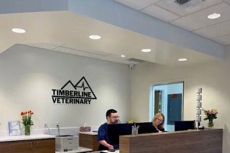 Timberline Vet Emergency & Specialty