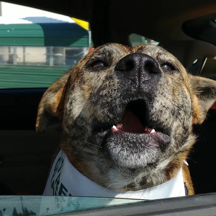 Sound Veterinary Rehabilitation Center 3