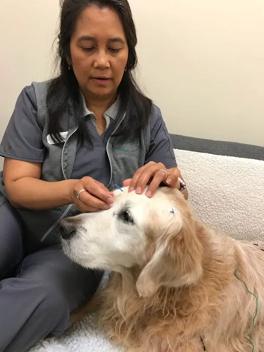 Sound Veterinary Rehabilitation Center 5