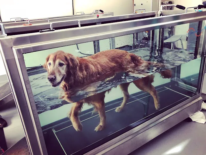Sound Veterinary Rehabilitation Center 1