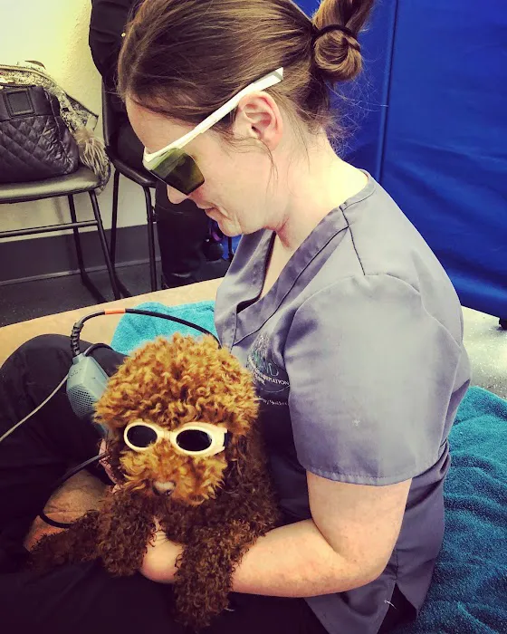 Sound Veterinary Rehabilitation Center 8