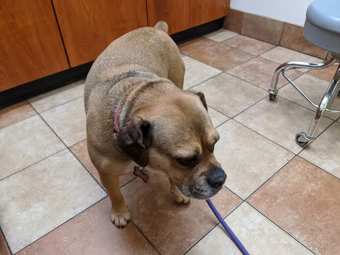 Banfield Pet Hospital 12