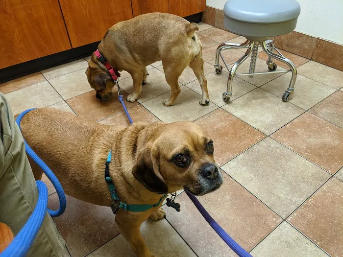 Banfield Pet Hospital 12