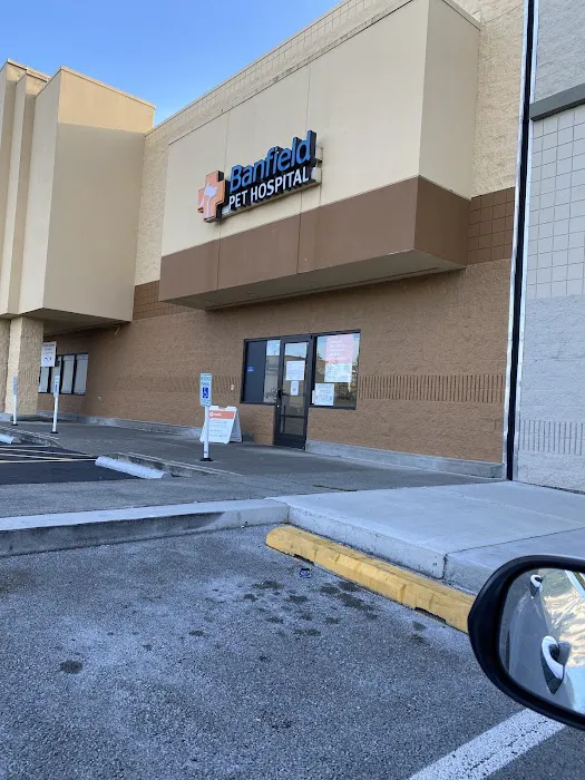 Banfield Pet Hospital 12