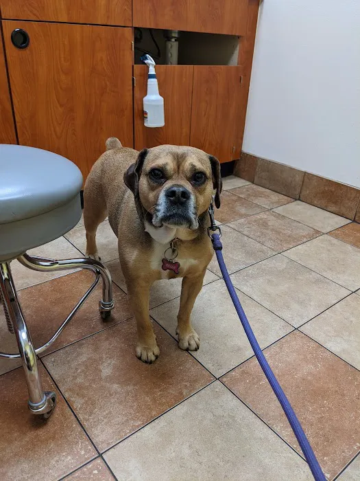 Banfield Pet Hospital 12
